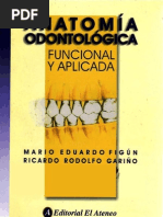 anatomia dentaria figun garino